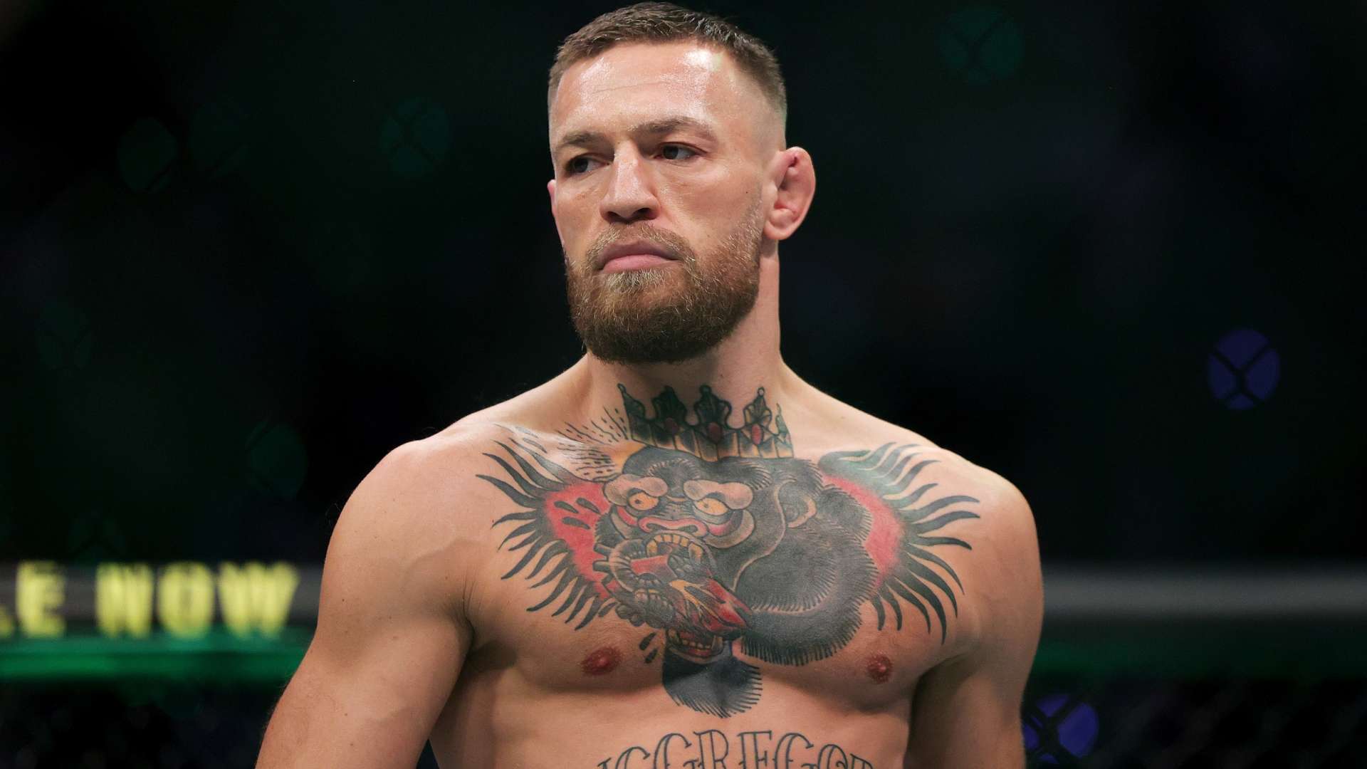 識使他在退 識使他在退