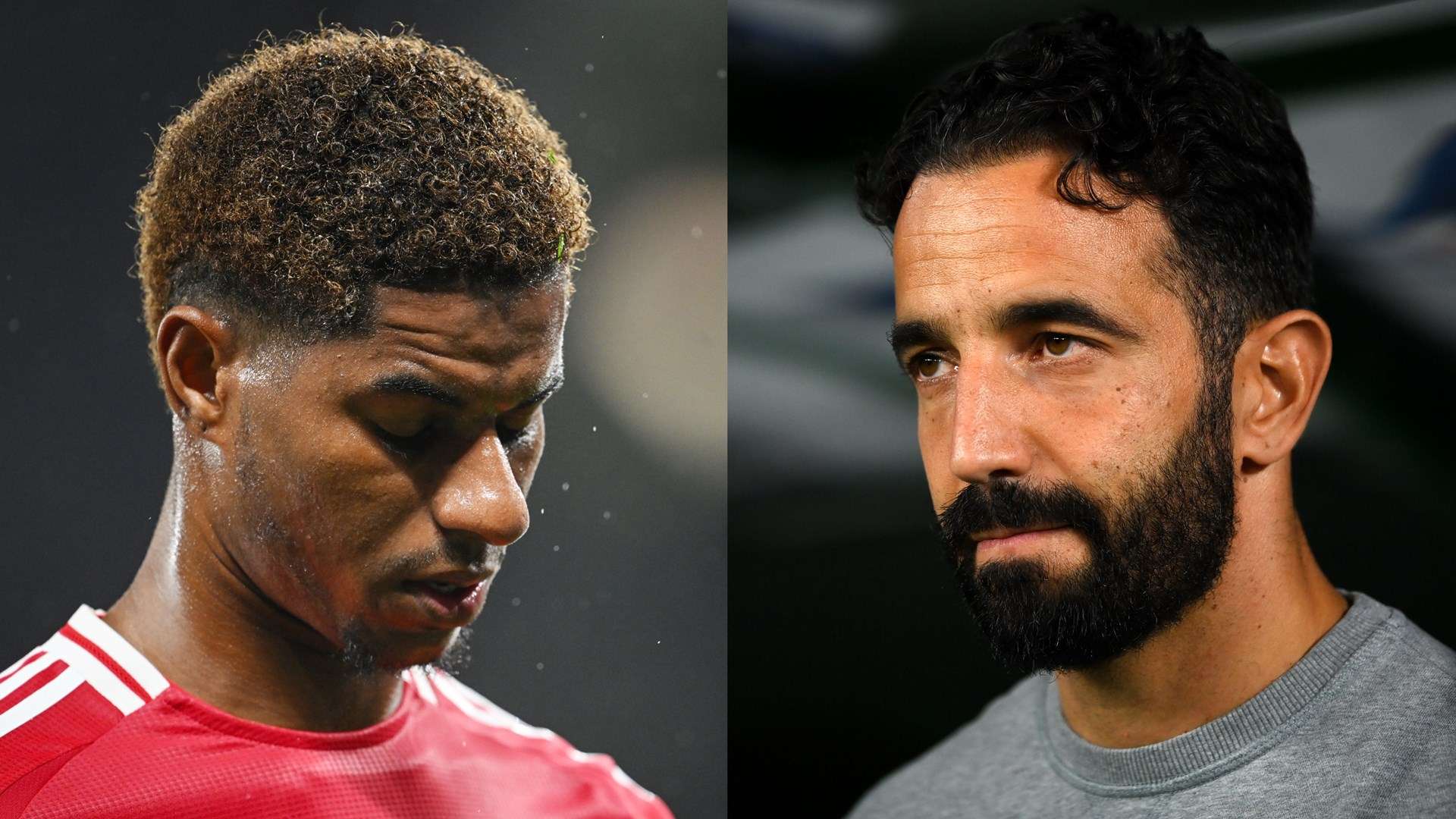 爾對這片土 爾對這片土